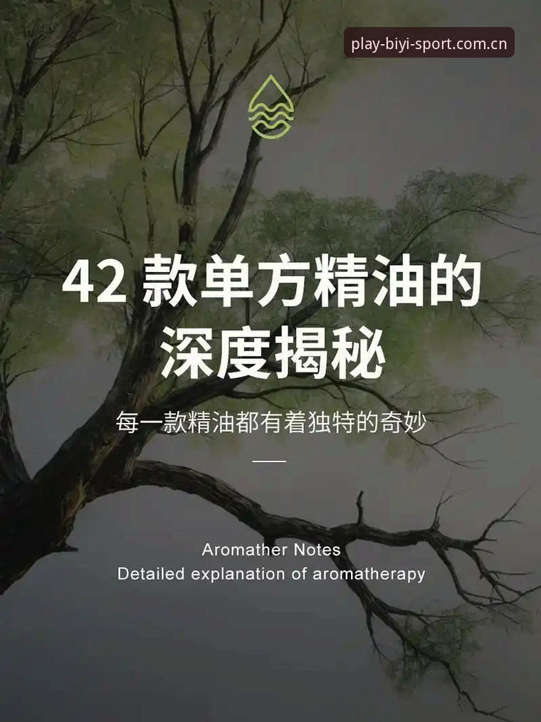 必一体育苹果下载手机版 深度揭秘必一体育苹果下载手机版背后的高效竞技体验